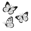Hanwares Black Metal Butterfly Wall Decor, 3-Piece Iron Butterfly Wall Art for Home Decor, Minimalist Elegant Wall Hangings for Living Room, Bedroom, Bathroom, Garden, Outdoor & Indoor Use